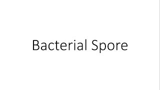 Bacterial Spore  Microbiology [upl. by Aisirtap]