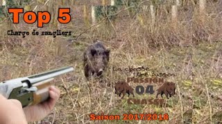 TOP 5 de charge de sangliers Attack of Wild Boar [upl. by Monti567]