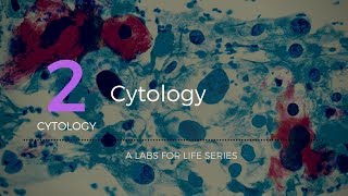 Cytology [upl. by Ecilahs]