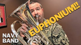 Why you should choose the euphonium [upl. by Peppard669]