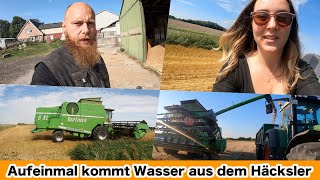 FarmVLOG653  Der Hafer hat es in sich Dreschen extrem [upl. by Eenimod757]