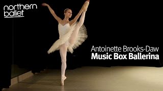 Music Box Ballerina  Antoinette BrooksDaw [upl. by Aneehsyt574]