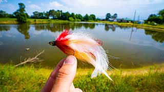 Fly Fishing a TROPHY BASS POND with BIG STREAMERS [upl. by Fuld]