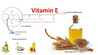 Vitamin E  Source function and deficiency [upl. by Anilegnave]