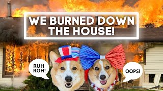 Dogs Set House on FIRE while Filming an OLYMPIC Tiktok [upl. by Eibrik600]