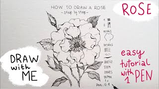 Todays Flower ROSE  Draw with Me using 1 pen [upl. by Nevet]