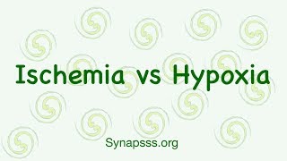 Hypoxia vs Ischemia differences definitions [upl. by Divadleahcim]