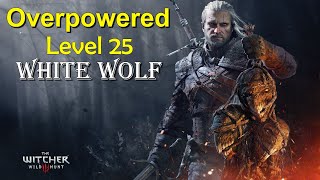 The Witcher 3 Wild Hunt  Level 25 Combat  Alchemy Build [upl. by Coy]