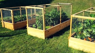 Enclosed Raised Garden Beds  DIY Gardening Project [upl. by Aikal]