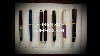 Pelikan Size Comparison [upl. by Esinehc581]