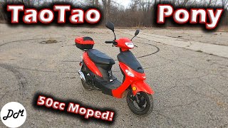 2018 Taotao Pony 50cc Moped – Ownership Update [upl. by Nellahs]