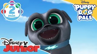 Puppy Dog Pals  Jump Song  Disney Junior UK [upl. by Donal]