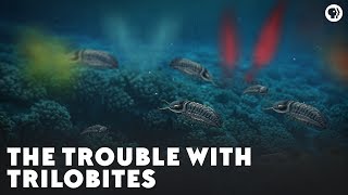 The Trouble With Trilobites [upl. by Dorej]