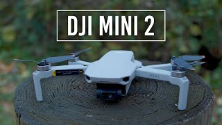 DJI Mini 2 Drone  Handson Review [upl. by Mailliwnhoj]