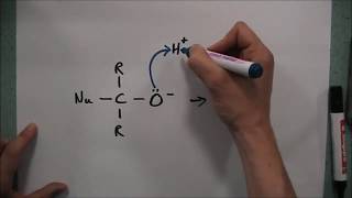 Nucleophilic Addition [upl. by Yotal]