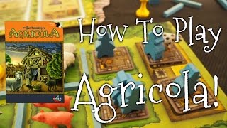 A Dicey quotWalkthrough Reviewquot of Agricola Revised Edition [upl. by Neb564]