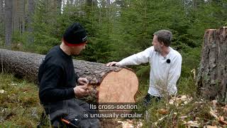 Medieval wood riving – An attempt to recreate craftsmanship [upl. by Pfeifer]