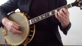 You Only Need Two Fingers Tenor Banjo Lesson for Beginners First Two Chords [upl. by Aimit]