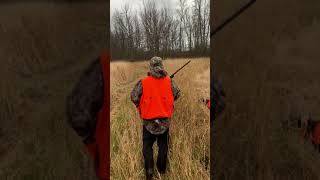 NY Pheasant hunting [upl. by Issirk]