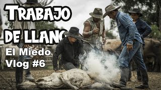 Cómo es un TRABAJO DE LLANO 🤠 Finca el Miedo Vlog 6 [upl. by Vivica]