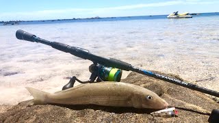 TOPWATER WHITING  Flats fishing for Australia’s shallow water predator [upl. by Ahselrak]