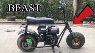 212cc MINI BIKE IS A BEAST Predator 212 [upl. by Imogen]