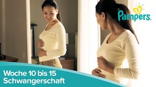 Schwangerschaftswoche 10 bis 15  Anzeichen und Symptome  Pampers [upl. by Wager]