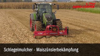 Mulcher Maiszünslerbekämpfung Traktor Mais Maisstoppeln Schlegelmulcher Fliegl [upl. by Anertak555]