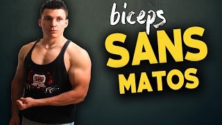 BICEPS  4 exercices ultimes sans matériel [upl. by Bilac]