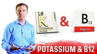 Potassium and Vitamin B12 Balance Explained by DrBerg [upl. by Silyhp]