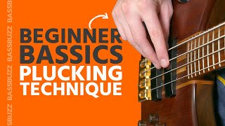 Basic Bass Plucking Technique Beginner Bass Basics [upl. by Acinna]