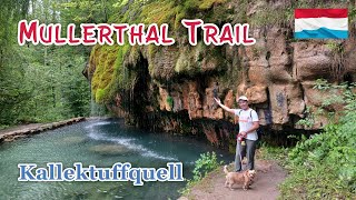 MULLERTHAL TRAIL  VISIT THE UNIQUE KALLEKTUFFQUELL  LUXEMBOURG  Ellaslife71 [upl. by Yecal]