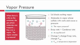 Evaporation Vapor Pressure and Boiling [upl. by Akenal]