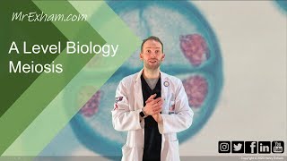 Meiosis and chromosome mutation  A Level Biology [upl. by Ubald560]