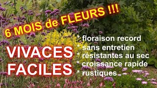 VIVACES FACILES à TRES LONGUE FLORAISON  5 super plantes [upl. by Helban768]