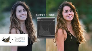 How to Use the Curves Tool in GIMP [upl. by Ellenyl605]