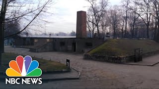 Auschwitz Survivors Return To Death Camp 75 Years Later‌  NBC Nightly News [upl. by Rosol]