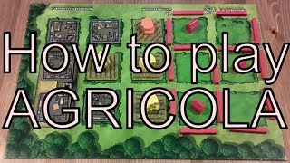 How to play Agricola in 3 minutes [upl. by Egbert]