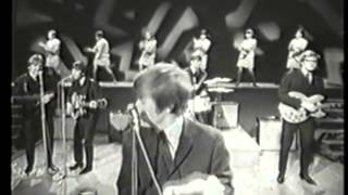 Hermans Hermits Im Into Something Good [upl. by Arreik]