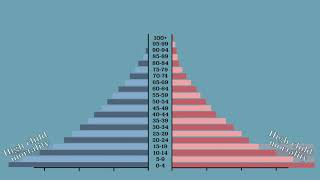 Population pyramid [upl. by Elberta673]