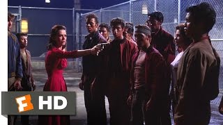 West Side Story 1010 Movie CLIP  Killed By Hate 1961 HD [upl. by Esoranna]