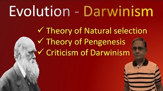 DARWINISM [upl. by Cassandry880]