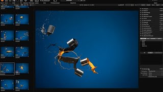 Hasselblad Phocus 30 Tutorial by Karl Taylor [upl. by Darooge83]