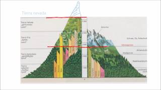 Geographie einfach gemacht Vergleich Alpen  Anden [upl. by Fornof]