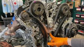 Ford 35 SHO Ecoboost Timing Chain Installation Part 2 [upl. by Illak]