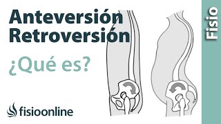 Anteversión y retroversión pélvicas  ¿Qué es [upl. by Noella]