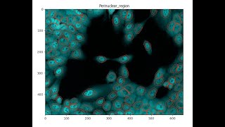 Measuring NuclearCytoplasmic Intensity with CellProfiler [upl. by Mongeau]