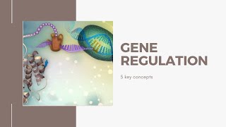 Regulation of gene expression 5 key concepts in Bangla [upl. by Tabbie]