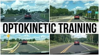 Driving on a Curvy Road Optokinetic Training 752 [upl. by Shaper748]