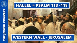 HALLEL at The Western Wall  Psalm 113118  English Subtitles [upl. by Yate721]